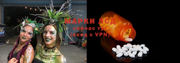 амф Аркадак