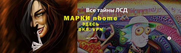 амф Аркадак