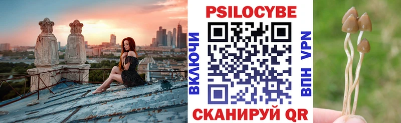 Галлюциногенные грибы Psilocybine cubensis  Печоры 